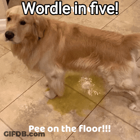 A Dog Is Standing On A Tiled Floor With A Puddle Of Yellow Liquid On The Floor GIF