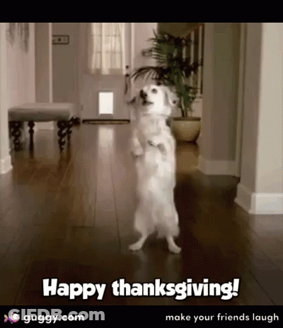A Dog Is Standing On Its Hind Legs In A Hallway And Says Happy Thanksgiving GIF
