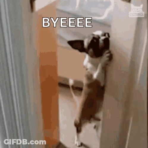 A Dog Is Standing On Its Hind Legs In Front Of A Door And Saying Byeeee GIF