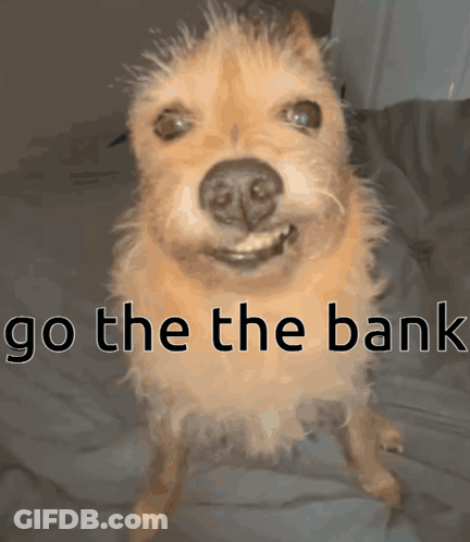 A Dog Is Standing On Its Hind Legs With The Words Go The Bank Above It GIF