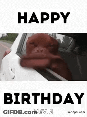 A Dog Is Sticking Its Head Out Of A Car Window And Says Happy Birthday . GIF