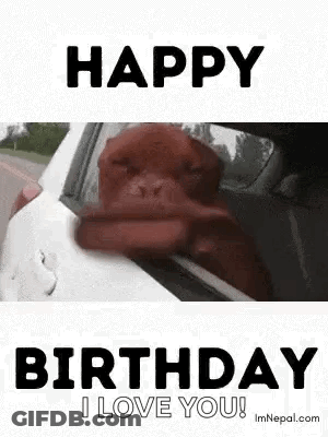 A Dog Is Sticking Its Head Out Of A Car Window And Says `` Happy Birthday I Love You '' . GIF