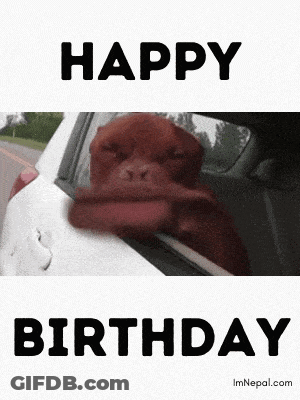 A Dog Is Sticking Its Head Out Of A Car Window With The Words Happy Birthday Above It GIF