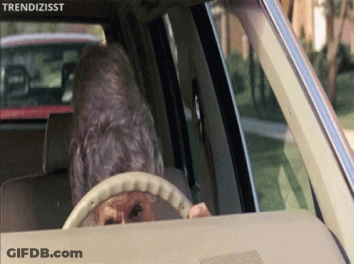 A Dog Is Sticking Its Head Out Of The Steering Wheel Of A Car With The Words Trendizisst Above It GIF