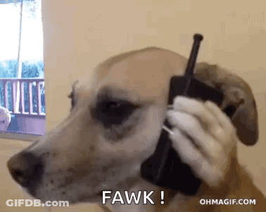 A Dog Is Talking On A Walkie Talkie And Saying Fawk . GIF