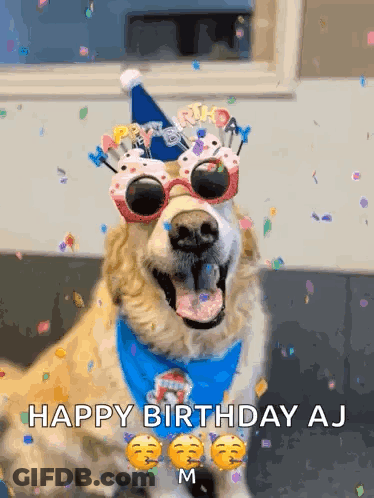 A Dog Is Wearing A Birthday Hat And Sunglasses And Says Happy Birthday AJ GIF