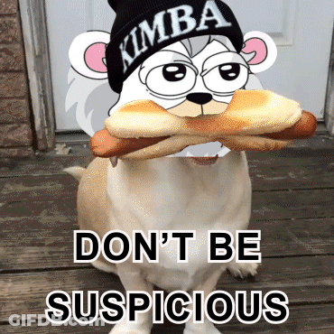 A Dog Is Wearing A Kimba Hat And Holding A Hot Dog In Its Mouth GIF