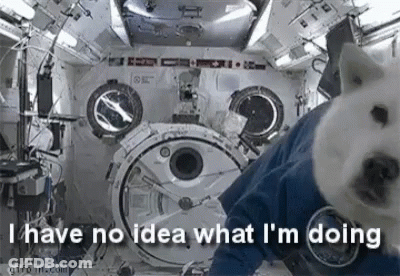 A Dog Is Wearing A Space Suit And Saying `` I Have No Idea What I Am Doing '' . GIF