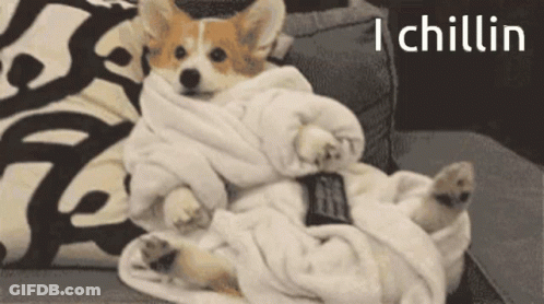 A Dog Is Wrapped In A Blanket And Holding A Remote Control GIF