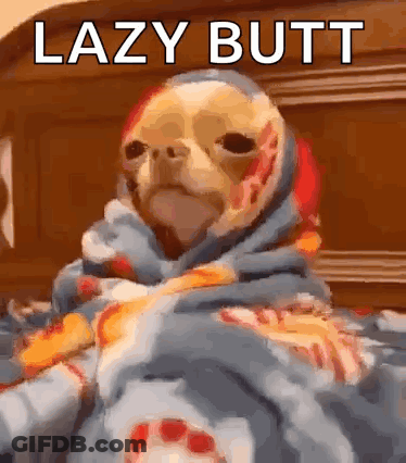 A Dog Is Wrapped In A Blanket And Says Lazy Butt On The Bottom GIF