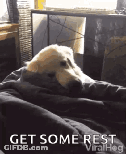 A Dog Is Wrapped In A Blanket With The Words Get Some Rest Viralhog On The Bottom GIF