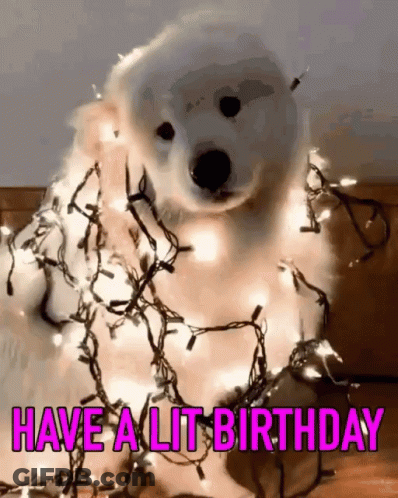 A Dog Is Wrapped In Christmas Lights With The Words Have A Lit Birthday GIF