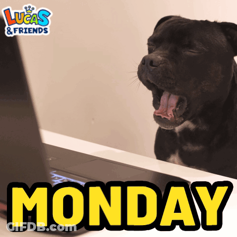 A Dog Is Yawning In Front Of A Laptop And The Word Monday Is On The Bottom GIF