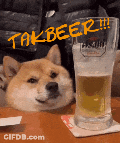 A Dog Laying Next To A Glass Of Beer That Says Takbeer On It GIF