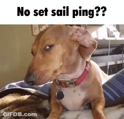 A Dog Laying On A Bed With The Words No Set Sail Ping GIF