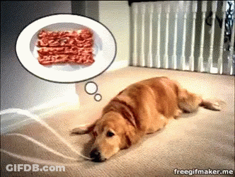 A Dog Laying On A Carpet With A Thought Bubble Of Bacon Above It GIF