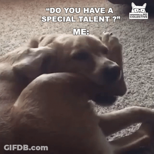 A Dog Laying On The Floor With A Caption That Says " Do You Have A Special Talent Me " GIF