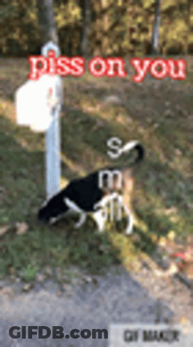 A Dog Laying On The Ground Next To A Mailbox With The Words Piss On You Written On It GIF