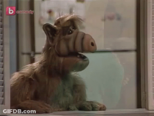 A Dog Looking Out A Window With A B Comedy Logo On The Bottom Right GIF
