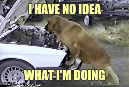 A Dog Looking Under The Hood Of A Car With The Words " I Have No Idea What I 'M Doing " GIF