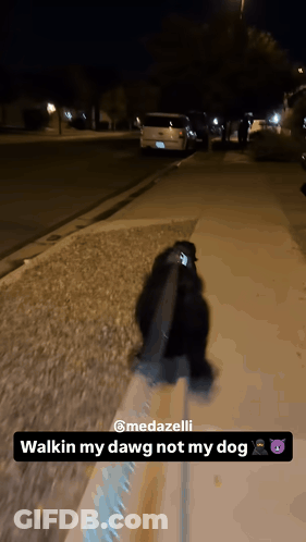 A Dog On A Leash Is Walking Down A Sidewalk At Night GIF