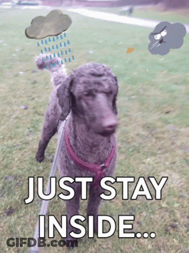 A Dog On A Leash With The Words Just Stay Inside Above It GIF