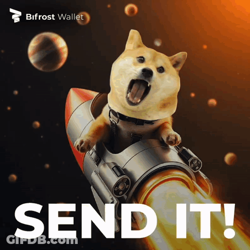 A Dog On A Rocket With The Words Send It GIF