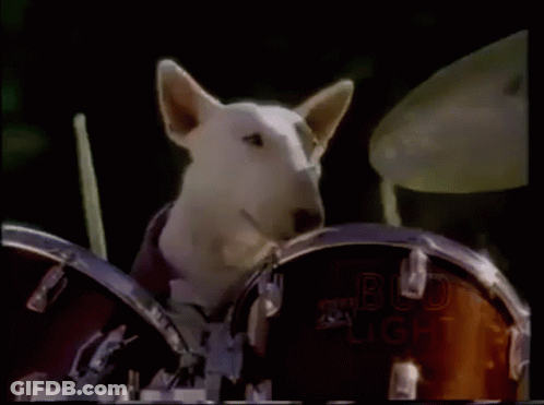 A Dog Playing Drums With A Bud Light Sign Behind Him GIF