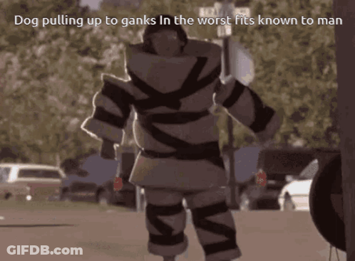 A Dog Pulling Up To Ganks In The Worst Fits Known To Man On A Street GIF