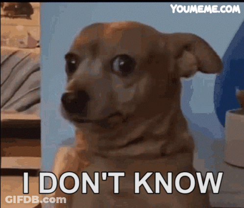 A Dog Says I Don 'T Know In Front Of A Blue Background GIF