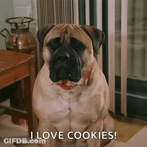 A Dog Says I Love Cookies While Sitting Down GIF
