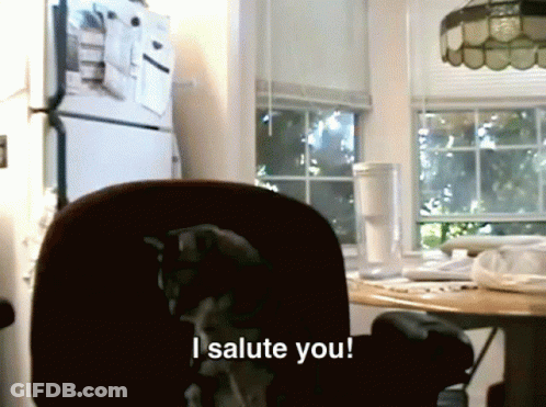 A Dog Says " I Salute You " In A Kitchen GIF