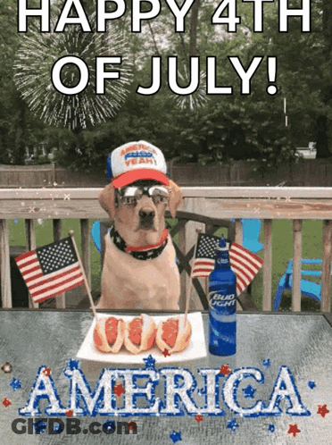 A Dog Sitting At A Table With A Plate Of Hot Dogs And A Bottle Of Bud Light GIF