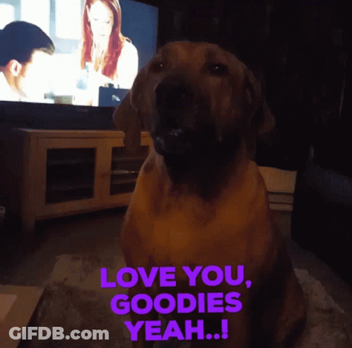 A Dog Sitting In Front Of A Tv With The Words Love You Goodies Yeah Written On It GIF