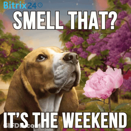 A Dog Smelling A Pink Flower With The Words " Smell That It 'S The Weekend " GIF