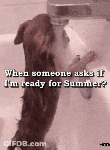 A Dog Standing In A Bathtub With The Words " When Someone Asks If I 'M Ready For Summer " Above It GIF
