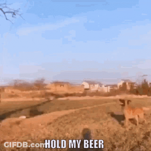 A Dog Standing In A Field With The Words Hold My Beer Written On It GIF