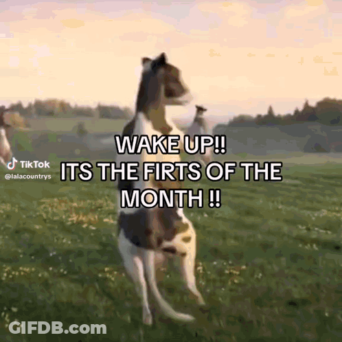 A Dog Standing In A Field With The Words Wake Up Its The Firts Of The Month Written On It GIF