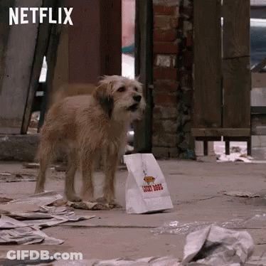 Dog Next To Chicken Dogs Bag GIF