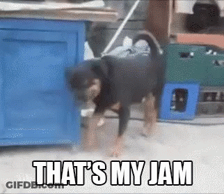 A Dog Standing Next To A Blue Cabinet That Says That 'S My Jam On It GIF