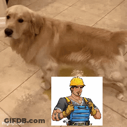 A Dog Standing Next To A Picture Of A Man Wearing A Hard Hat And Gloves GIF