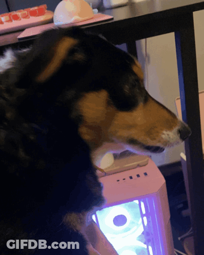 A Dog Standing Next To A Pink Computer Case With Purple Lights GIF