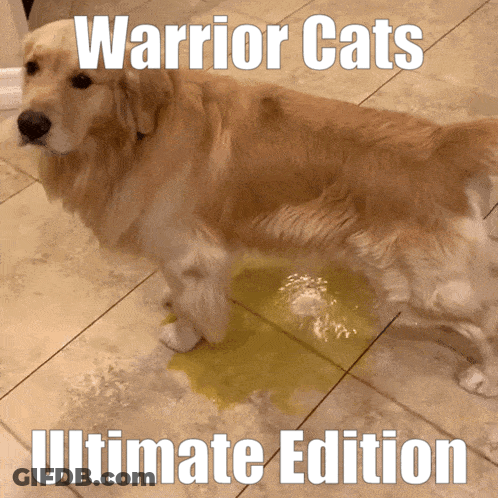 A Dog Standing Next To A Puddle Of Yellow Liquid With The Words Warrior Cats Ultimate Edition Written Above It GIF