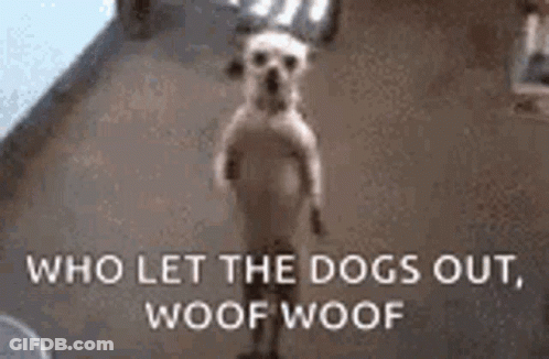 A Dog Standing On Its Hind Legs With The Words `` Who Let The Dogs Out , Woof Woof '' . GIF