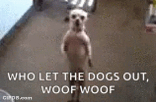 A Dog Standing On Its Hind Legs With The Words `` Who Let The Dogs Out Woof Woof '' Behind It . GIF