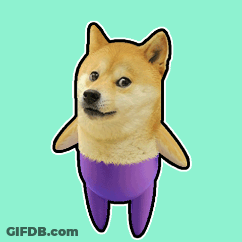 A Dog That Looks Like A Penguin With A Purple Shirt GIF