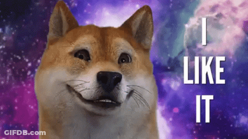 A Dog That Says I Like It In Front Of A Galaxy Background GIF