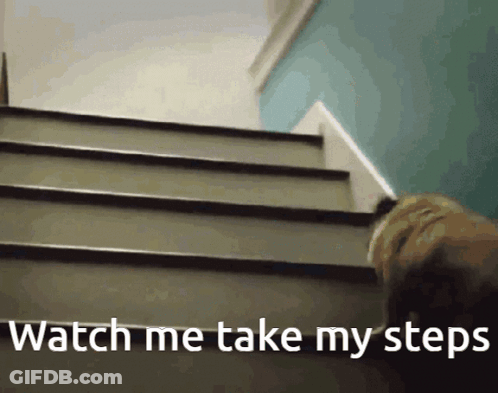 A Dog Walking Up A Set Of Stairs With The Words Watch Me Take My Steps GIF