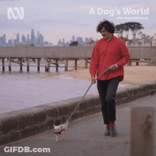 A Dog Walking World GIF