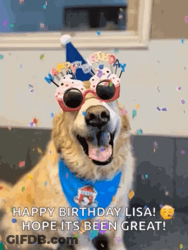 A Dog Wearing A Birthday Hat And Sunglasses Says Happy Birthday Lisa GIF